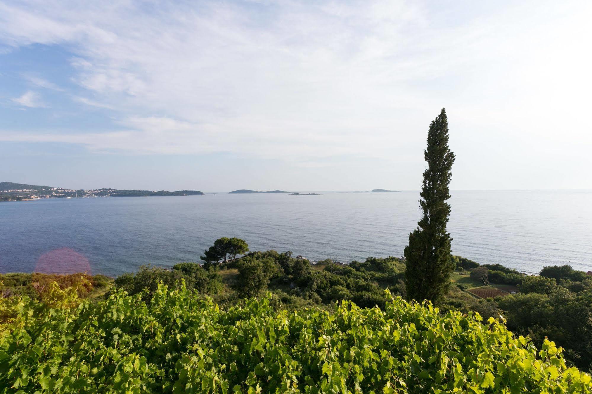 Guest house Fontana